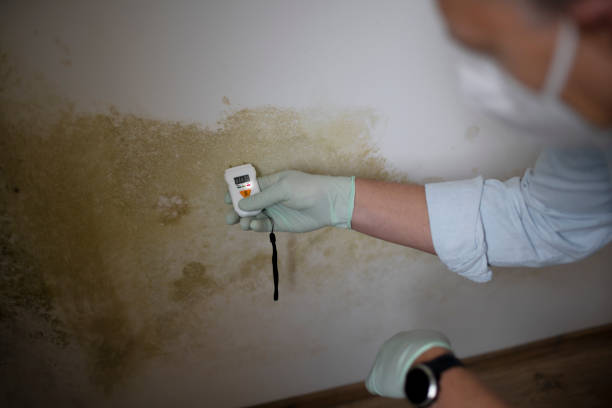 Best Fast Mold Removal  in Colby, KS