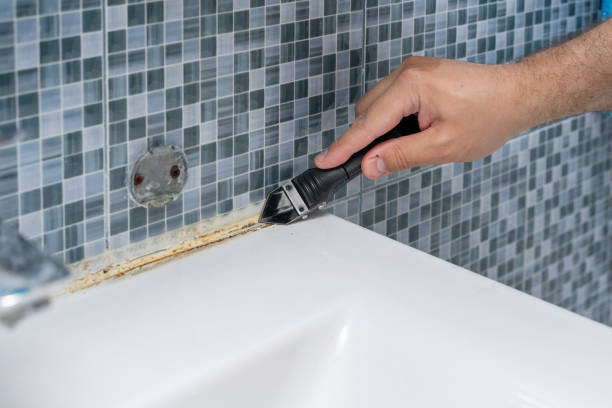 Best Residential Mold Removal  in Colby, KS