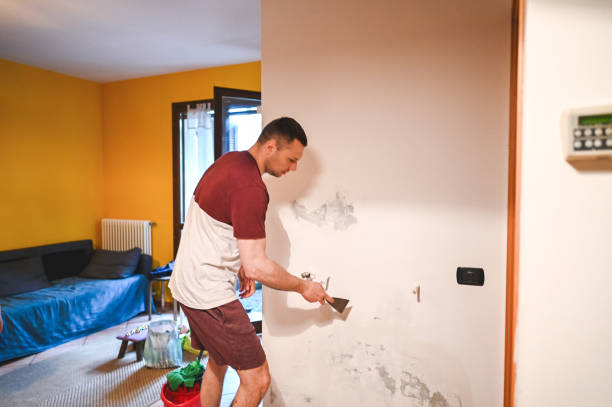 Best Mold Removal Specialists  in Colby, KS